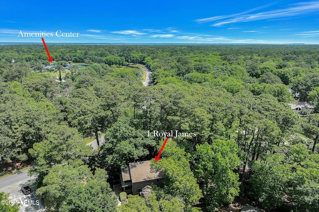 1 Royal James Dr, Hilton Head Island, SC 29926 - aerial view of property and surrounding area featuring a forest
