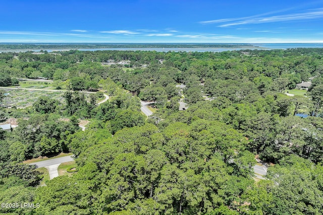1 Royal James Dr, Hilton Head Island, SC 29926 - aerial view of property's location featuring a nearby body of water and a forest