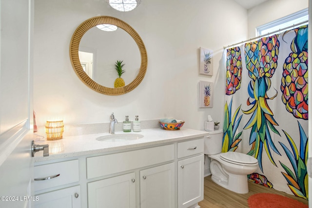 bathroom featuring vanity, wood-type flooring, a shower with shower curtain, and toilet