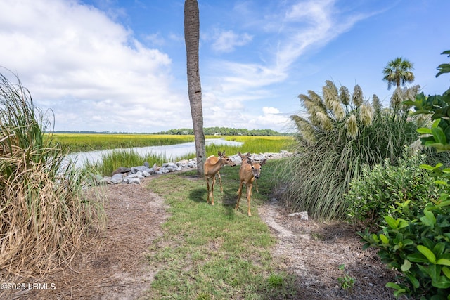 167 Beach Club Villa Dr Unit 167, Fripp Island, SC 29920 - view of yard with a water view