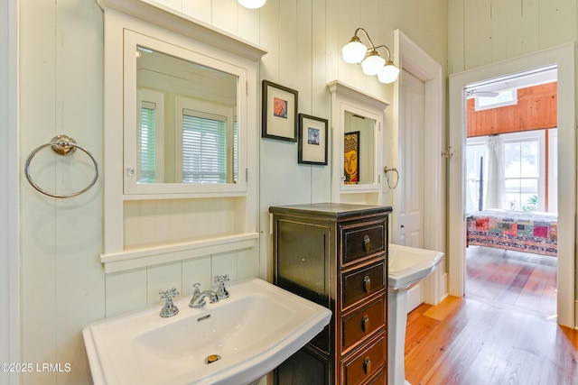 bathroom with wood finished floors and a sink