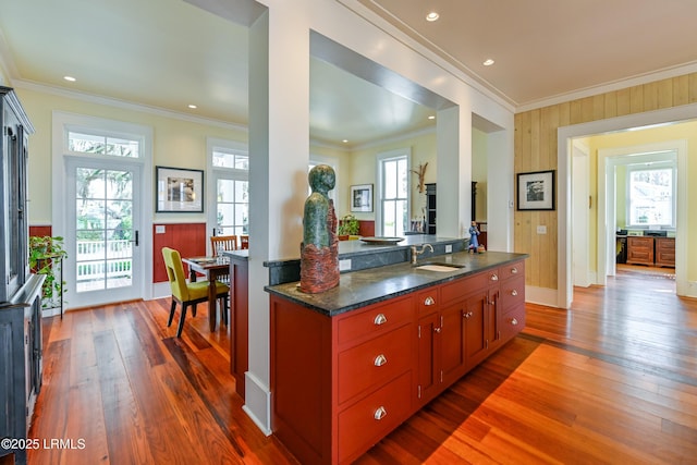 kitchen featuring dark wood-style floors, ornamental molding, and a sink