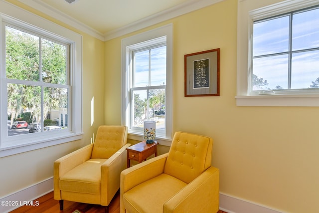 living area with a wealth of natural light, baseboards, and ornamental molding