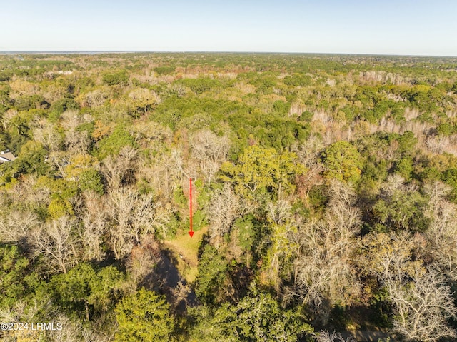 33 Mount Grace, Beaufort, SC 29906 - photo 13