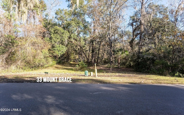 33 Mount Grace, Beaufort, SC 29906 - photo 19