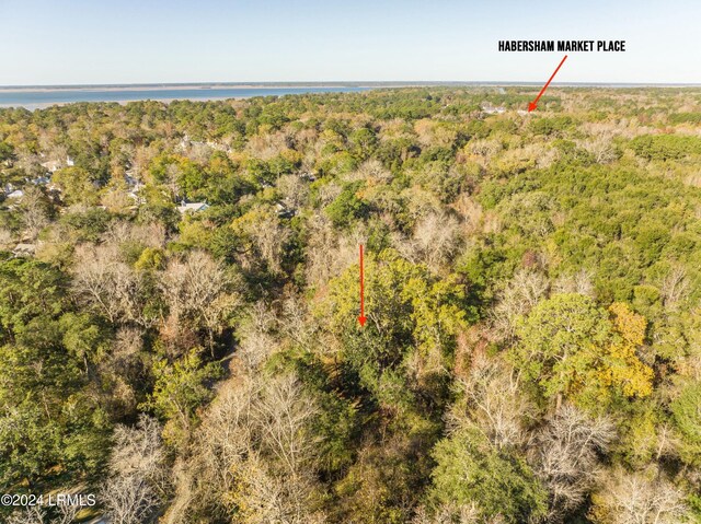 33 Mount Grace, Beaufort, SC 29906 - photo 11