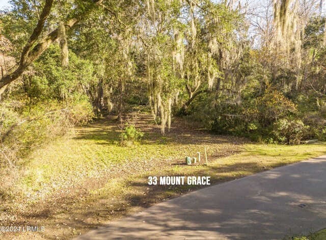33 Mount Grace, Beaufort, SC 29906 - photo 17