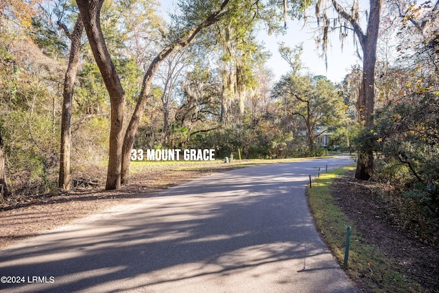 33 Mount Grace, Beaufort, SC 29906 - photo 24