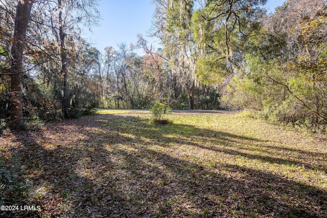 33 Mount Grace, Beaufort, SC 29906 - photo 23