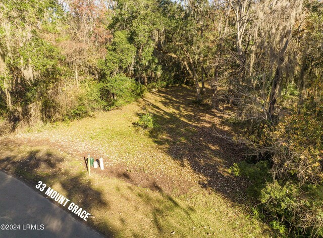 33 Mount Grace, Beaufort, SC 29906 - photo 15