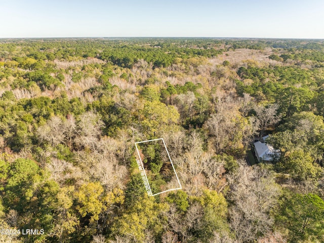33 Mount Grace, Beaufort, SC 29906 - photo 9