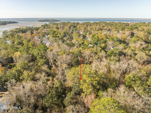 33 Mount Grace, Beaufort, SC 29906 - photo 12