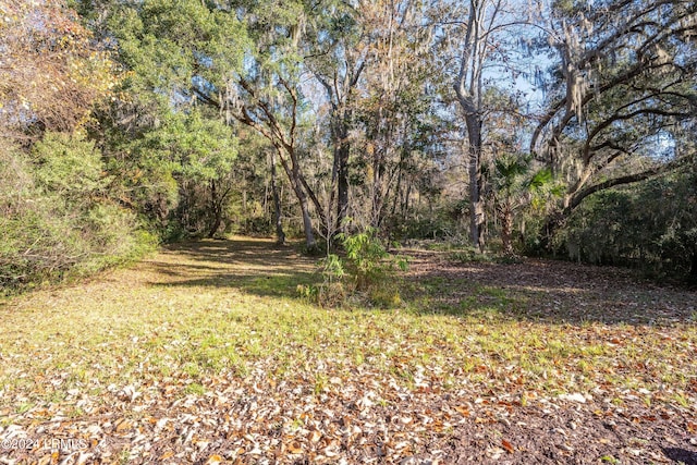 33 Mount Grace, Beaufort, SC 29906 - photo 21