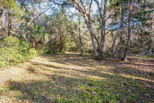33 Mount Grace, Beaufort, SC 29906 - photo 22