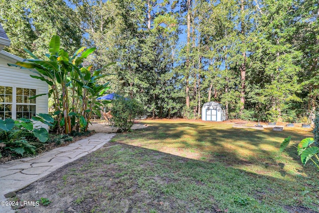 view of yard featuring a shed