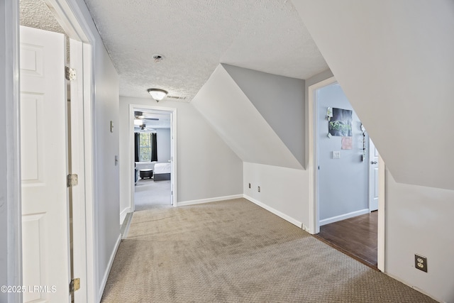 18 Lake View Ct, Bluffton, SC 29910 - additional living space with carpet floors, a textured ceiling, baseboards, and lofted ceiling