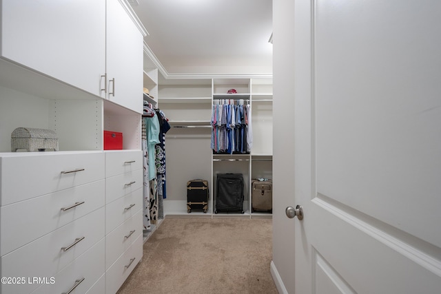 145 Rudder Run, Bluffton, SC 29910 - walk in closet with light carpet