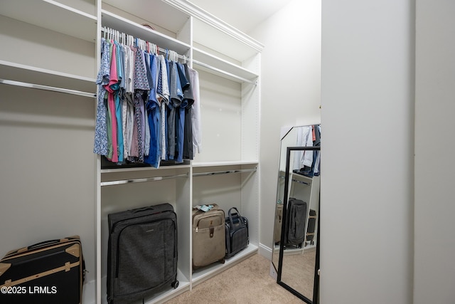 145 Rudder Run, Bluffton, SC 29910 - walk in closet with carpet flooring