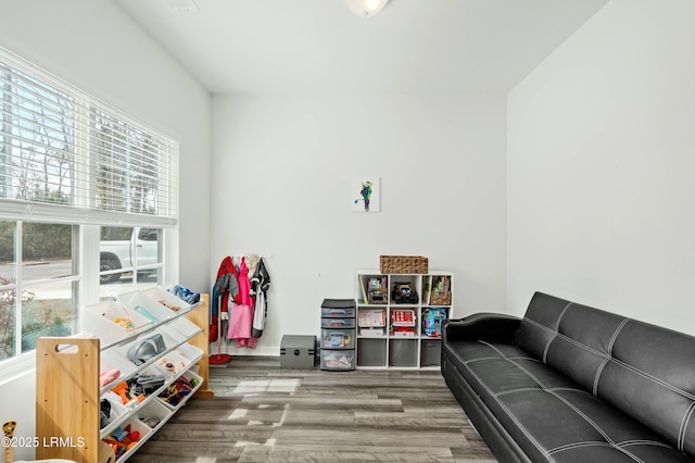 playroom with plenty of natural light and wood finished floors