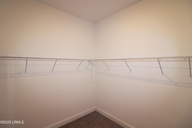 spacious closet with dark colored carpet