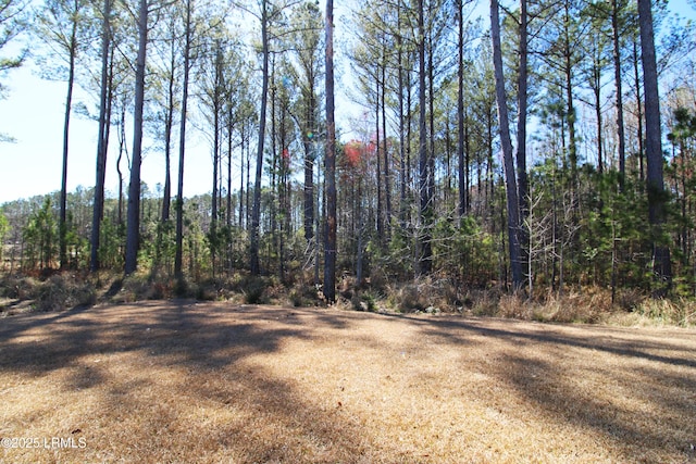 view of local wilderness with a forest view