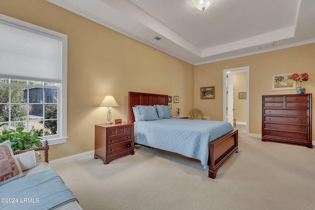 carpeted bedroom with a raised ceiling