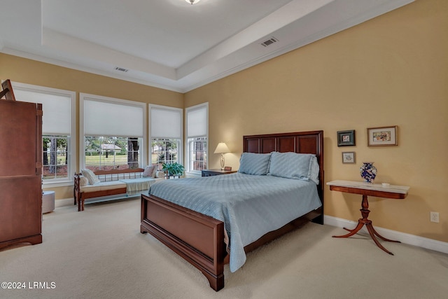 carpeted bedroom with multiple windows and a raised ceiling