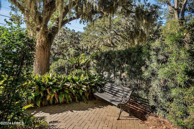 view of property's community with a patio