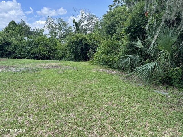 TBD Wilmington St, Beaufort, SC 29902 - photo 3