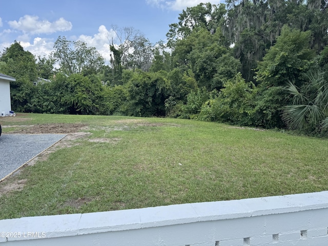 TBD Wilmington St, Beaufort, SC 29902 - photo 2