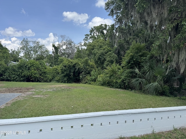 TBD Wilmington St, Beaufort, SC 29902 - photo 1