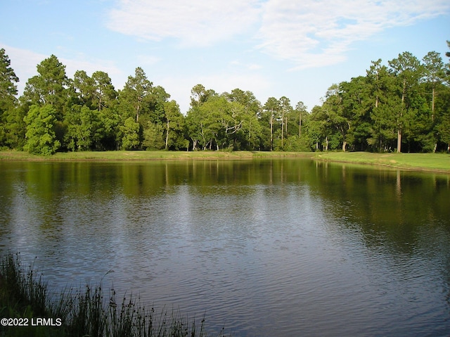 Listing photo 3 for 425 Distant Island Dr, Beaufort SC 29907