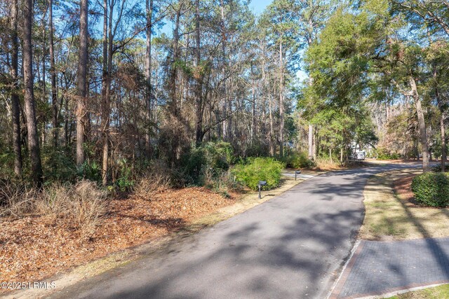 44 Osprey Cir, Okatie, SC 29909 - photo 4
