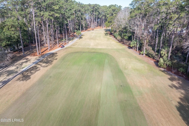 44 Osprey Cir, Okatie, SC 29909 - photo 8