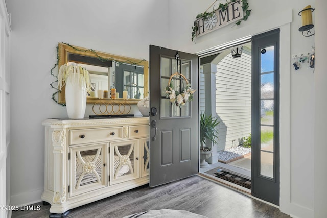 foyer entrance featuring dark hardwood / wood-style floors