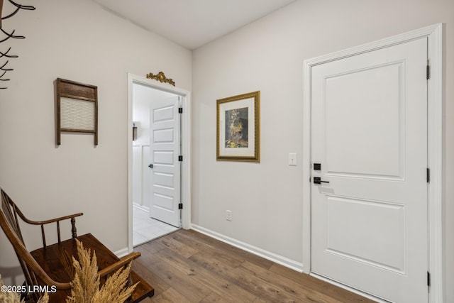 foyer with wood-type flooring