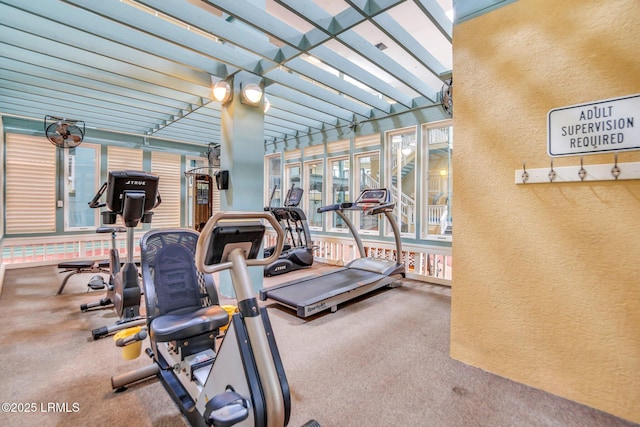 663 William Hilton Pkwy Unit 3404, Hilton Head Island, SC 29928 - exercise room with carpet floors and a textured wall
