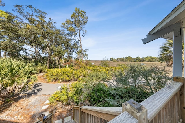 view of yard with a rural view