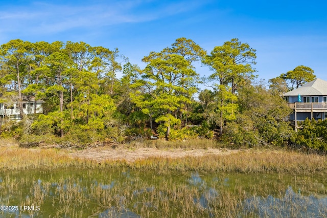 view of local wilderness featuring a water view