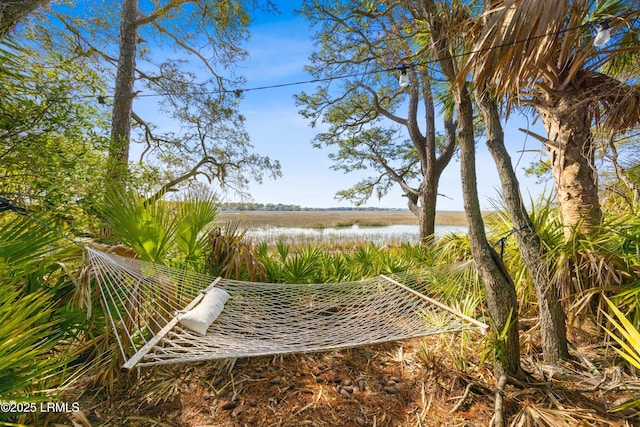 surrounding community with a water view