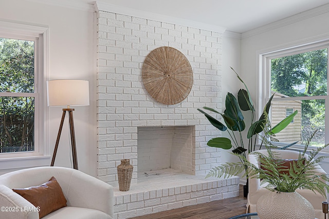 3017 Magnolia St, Beaufort, SC 29906 - living area with plenty of natural light, crown molding, and a fireplace