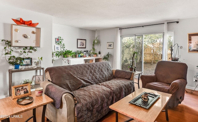 living room with hardwood / wood-style floors and a textured ceiling