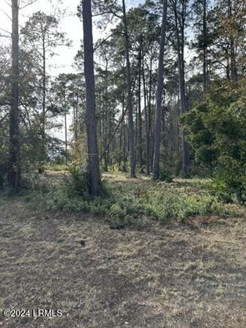 14 Remington Rd, Bluffton, SC 29910