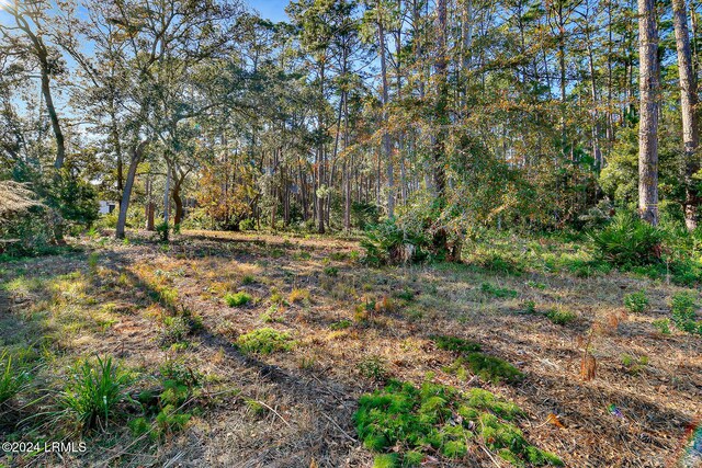 14 Remington Rd, Bluffton, SC 29910