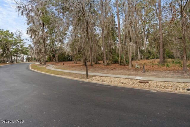 304 De La Gaye Pt, Beaufort, SC 29902 - photo 9