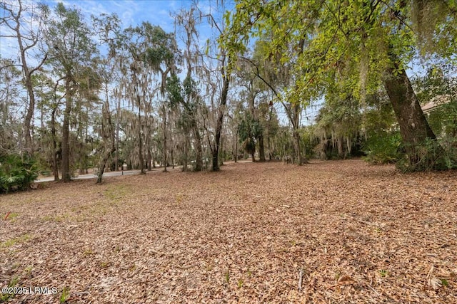 304 De La Gaye Pt, Beaufort, SC 29902 - photo 10