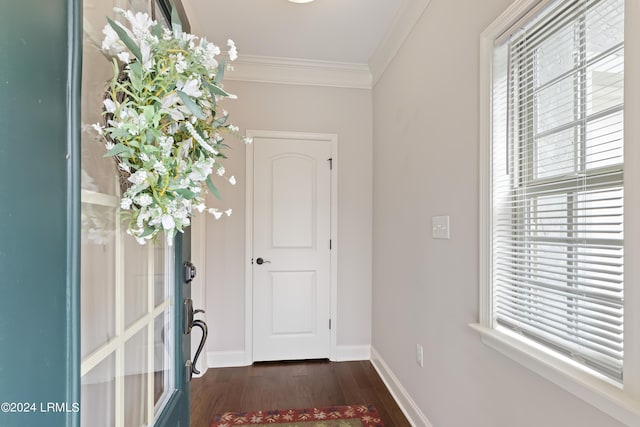 1034 Abbey Glen Way, Hardeeville, SC 29927 - foyer featuring dark wood-style flooring, baseboards, and ornamental molding