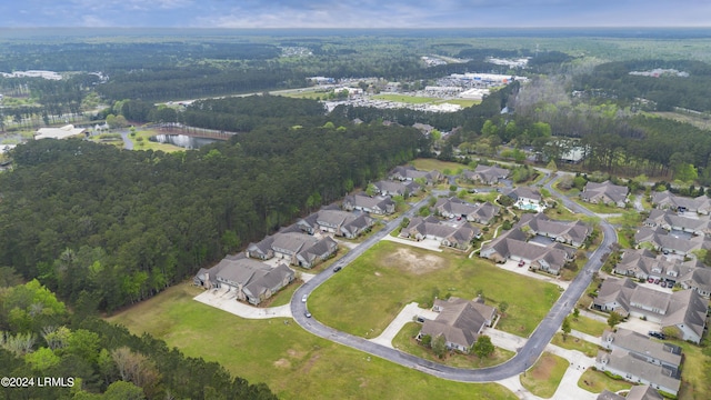 1034 Abbey Glen Way, Hardeeville, SC 29927 - birds eye view of property with a residential view, a water view, and a forest view