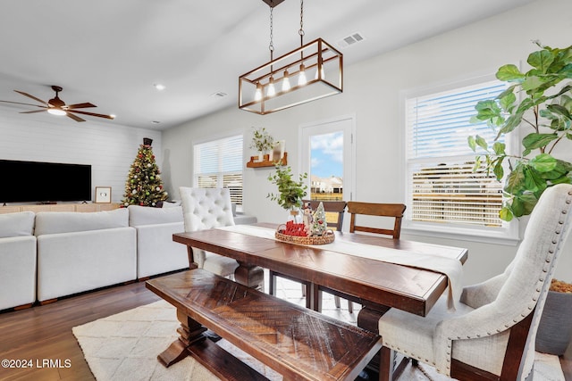 dining room featuring ceiling fan, dark hardwood / wood-style flooring, and a wealth of natural light