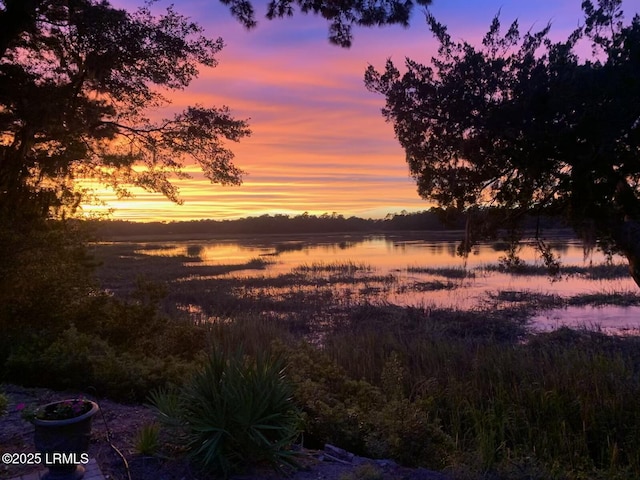 view of nature with a water view